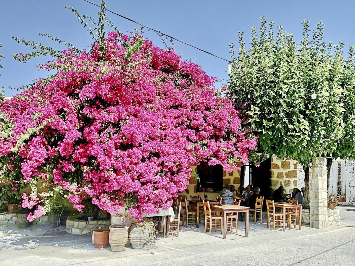 Villa Olivia With Pool Vrises Crete Alikampos 部屋 写真